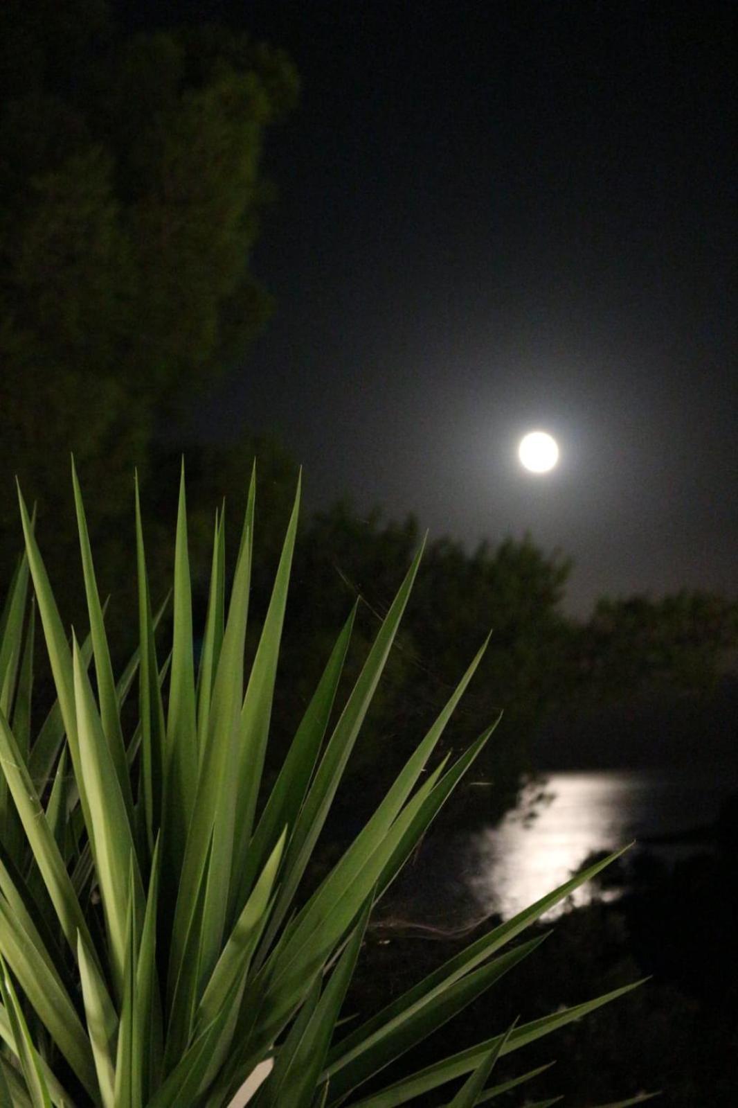 Holiday Hvar Vrbanj Εξωτερικό φωτογραφία