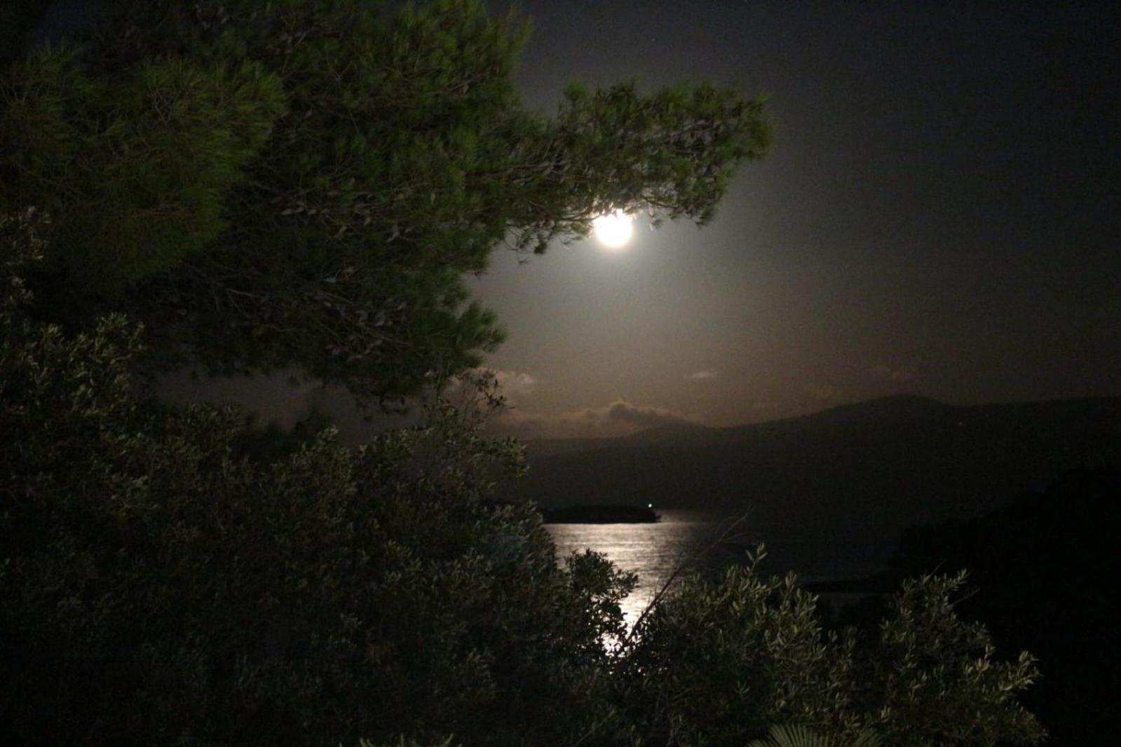 Holiday Hvar Vrbanj Εξωτερικό φωτογραφία